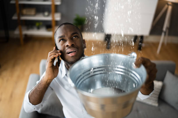Best Carpet water damage restoration  in Progress, PA