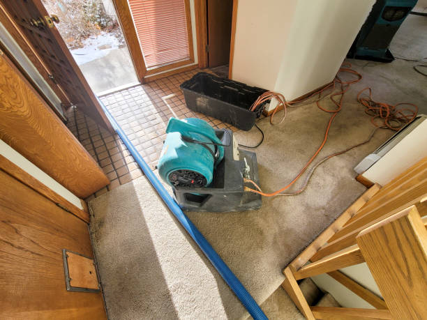 Best Basement water damage restoration  in Progress, PA